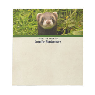Cute Brown Ferret in the Grass Notepad
