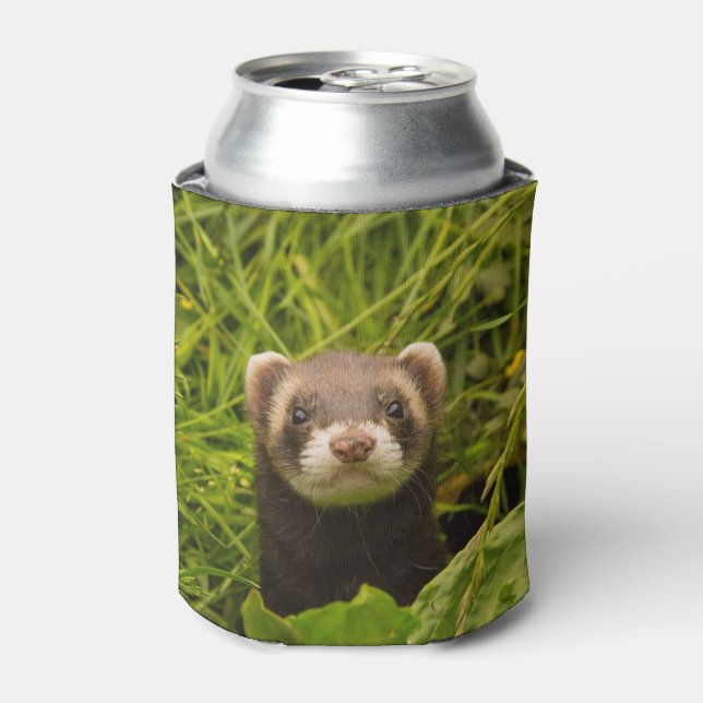 Cute Brown Ferret in the Grass Photo Can Cooler (Can Front)
