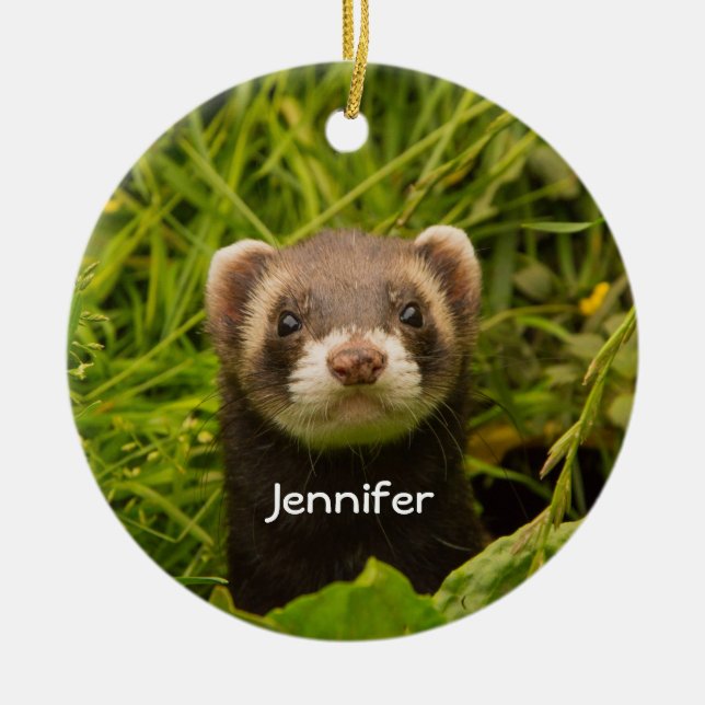Cute Brown Ferret in the Grass Photo Ceramic Tree Decoration (Front)