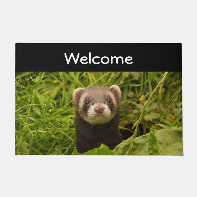 Cute Brown Ferret in the Grass Photo Doormat (Front)