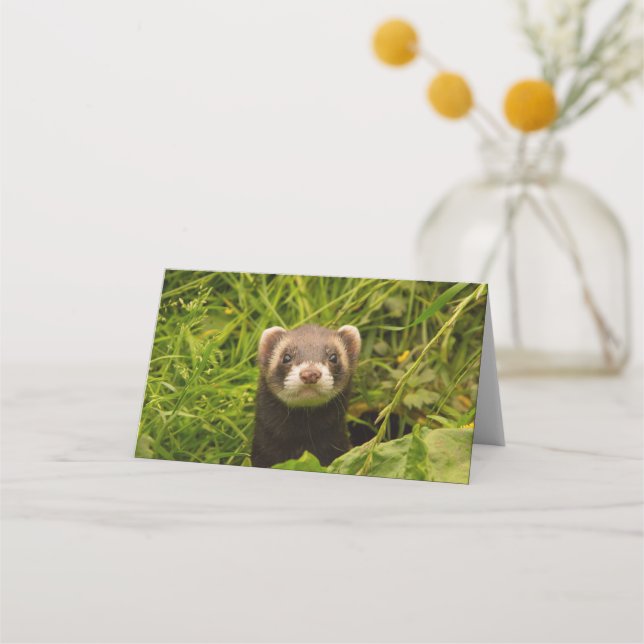 Cute Brown Ferret in the Grass Photo Place Card (Front)