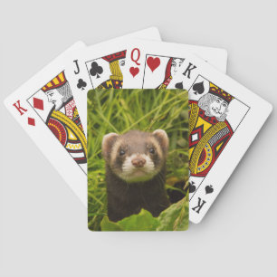 Cute Brown Ferret in the Grass Photo Playing Cards