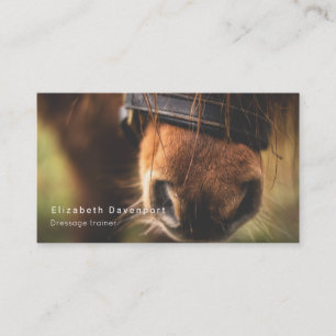 Cute Brown Horse Nose Business Card