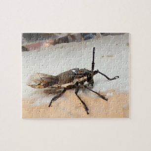 Cute Brown Insect Bug Jigsaw Puzzle