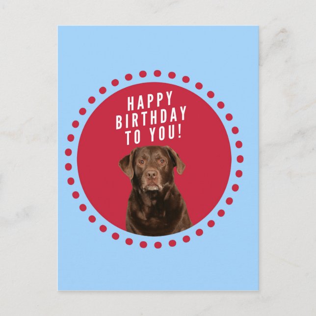 Cute Brown Labrador Retriever Dog Happy Birthday Postcard (Front)