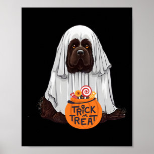 Cute Brown Newfoundland Dog Halloween  Poster