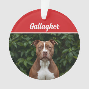 Cute Brown Pit Bull Dog Holiday Christmas Photo Ornament