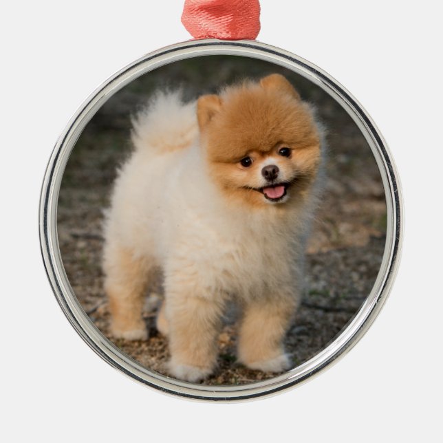 Cute Brown Pomeranian Puppy Dog Metal Tree Decoration (Front)