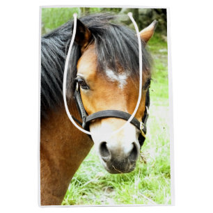 CUTE BROWN PONY   MEDIUM GIFT BAG
