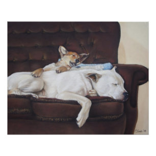 cute brown puppy cuddling white american bulldog poster