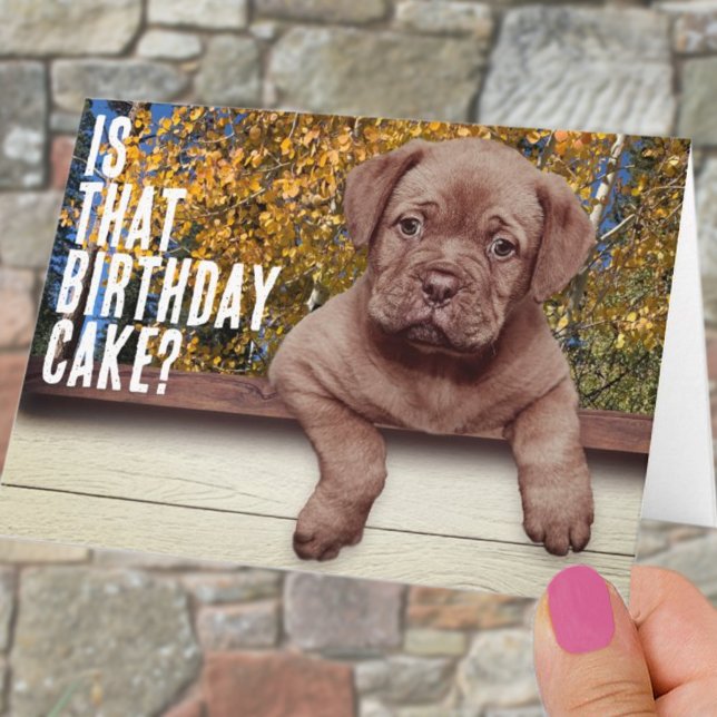 Cute Brown Puppy Photo Template Birthday (Creator Uploaded)