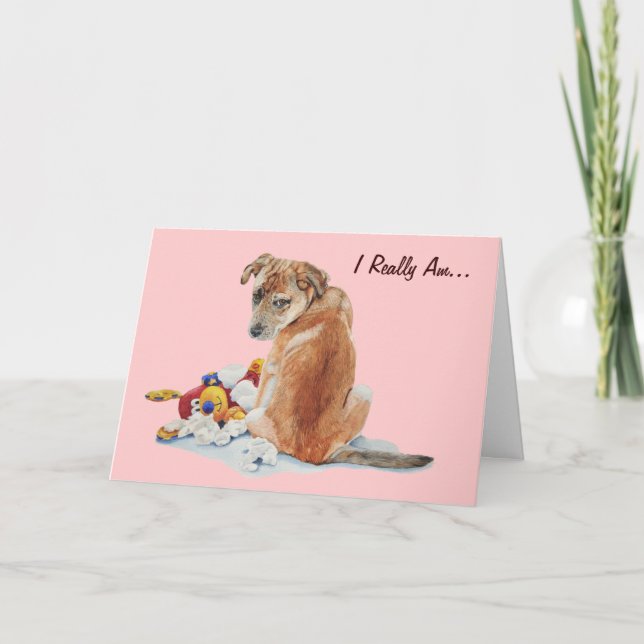 Cute brown puppy with teddy dog looking sorry card (Front)