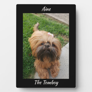 Cute Brown  Tomboy Yorkshire Terrier Plaque