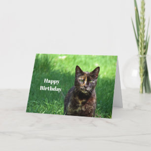 Cute Brown Tortoiseshell Cat Photo Birthday Card