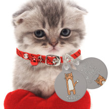 Cute Brown White Cat Cartoon Funny Kawaii