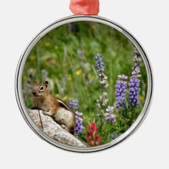 Cute Brown White Chipmunk Metal Tree Decoration (Front)