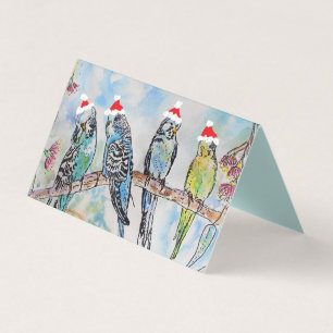 Cute Budgie Christmas Budgerigar Budgies Bird