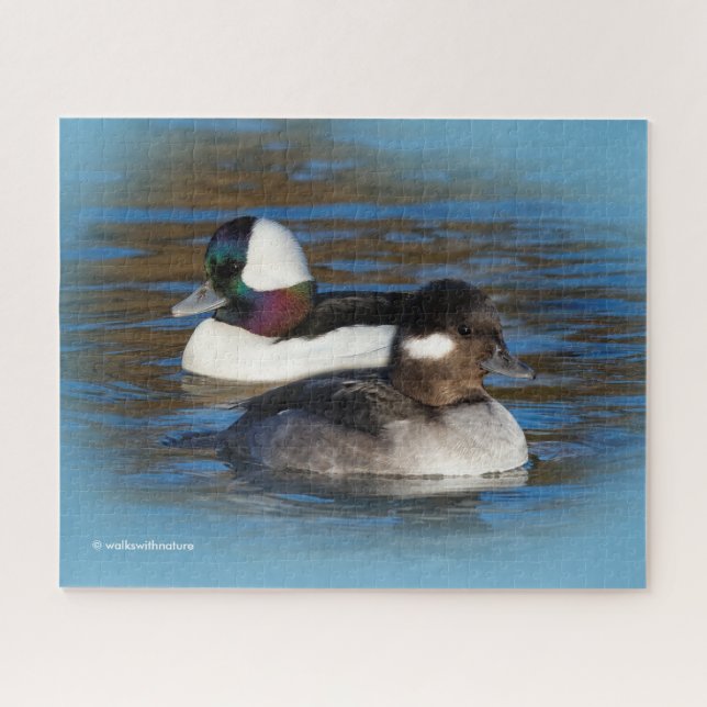 Cute Bufflehead Ducks Lovebirds at Winter Pond Jigsaw Puzzle (Horizontal)