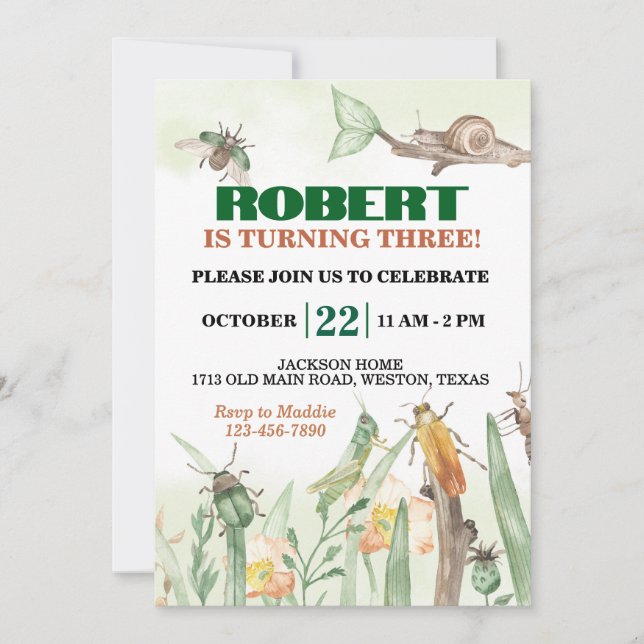 Cute Bugs and Snail Birthday Invitation (Front)