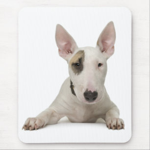 Cute Bull Terrier Mum Puppy Dad Dog Lover Cartoon Mouse Mat