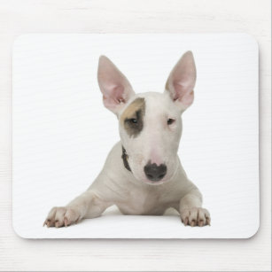 Cute Bull Terrier Mum Puppy Dad Dog Lover Rescue Mouse Mat