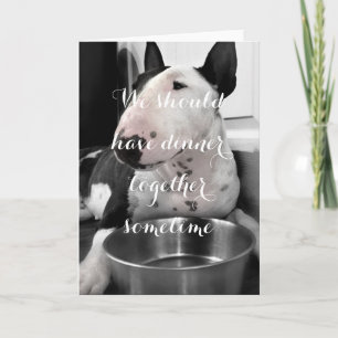 Cute Bull Terrier Photo Greeting Card "Dinner"