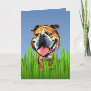 Cute Bulldog Greeting Card