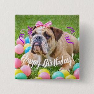 Cute Bulldog Happy Birthday 15 Cm Square Badge