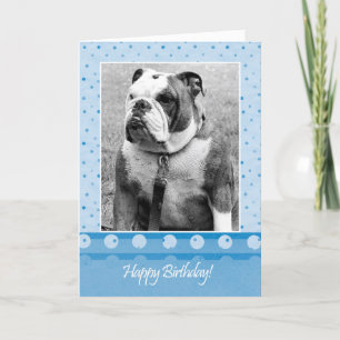 Cute Bulldog Happy Birthday Blue dot Greeting Card