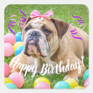Cute Bulldog Happy Birthday Square Sticker