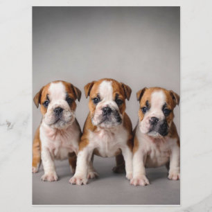 Cute Bulldog Puppies Dog Lovers Gift Menu