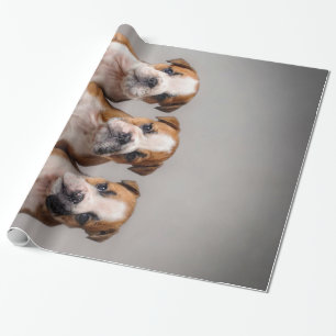 Cute Bulldog Puppies Dog Lovers Gift Wrapping Paper