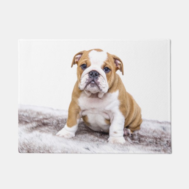 Cute Bulldog Puppy Doormat (Front)