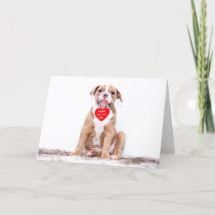 Cute Bulldog Puppy Happy Valentine's Day Holiday Card