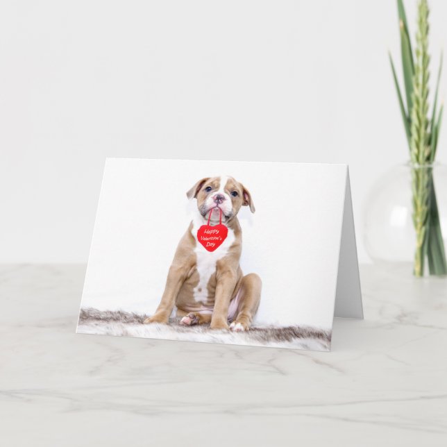 Cute Bulldog Puppy Happy Valentine's Day Holiday Card (Front)