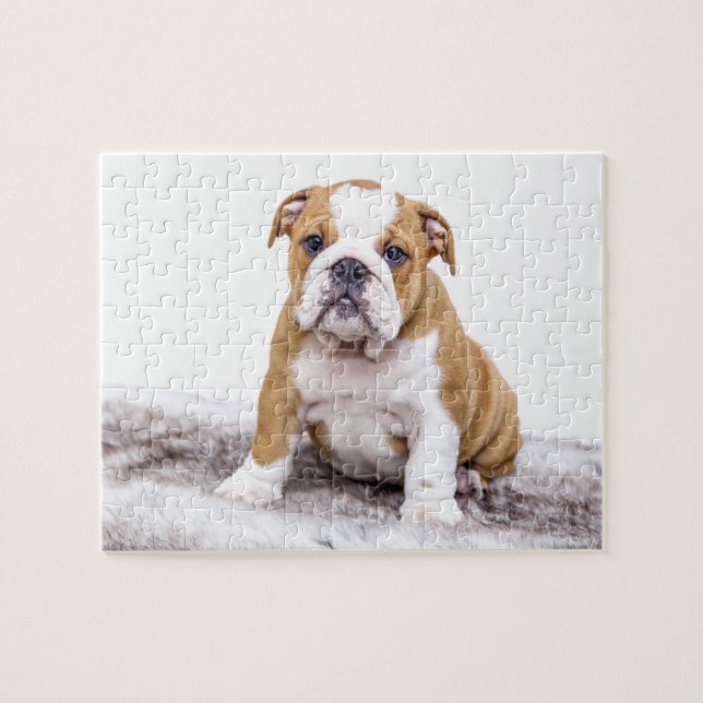 Cute Bulldog Puppy Jigsaw Puzzle (Horizontal)