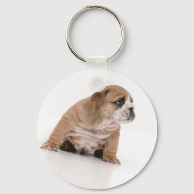 Cute bulldog puppy key ring (Front)