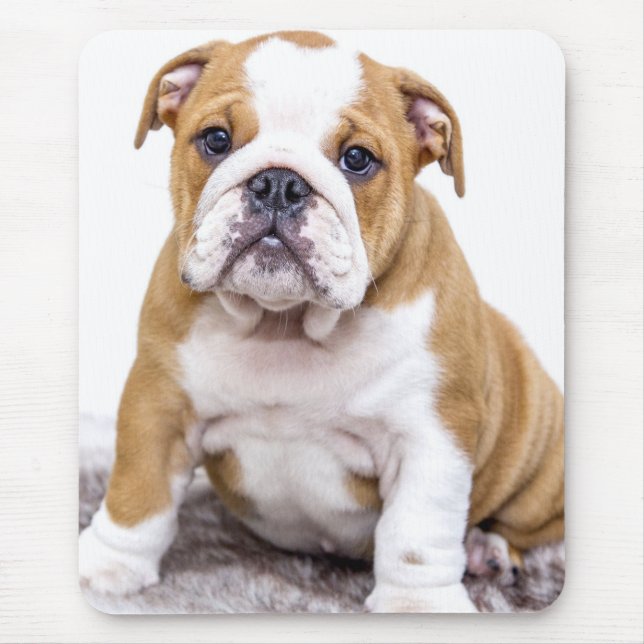 Cute Bulldog Puppy Sitting Down Mouse Mat (Front)