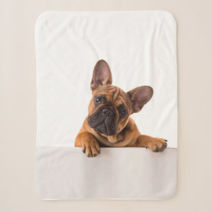 Cute Bulldog Really Cute, English Bulldog Sherpa Blanket