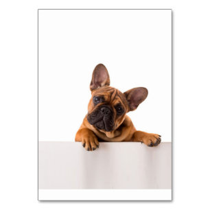 Cute Bulldog   Really Cute, English Bulldog Table Number