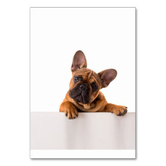 Cute Bulldog | Really Cute, English Bulldog Table Number