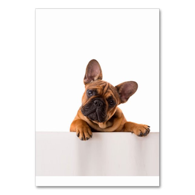 Cute Bulldog | Really Cute, English Bulldog Table Number (Front)