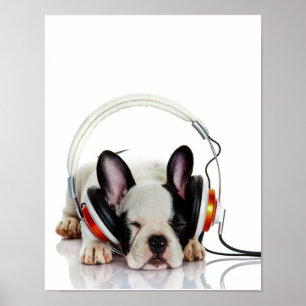 Cute Bulldog Sleeping   English Bulldog Lover Poster
