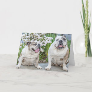 Cute Bulldogs Happy Birthday Personalised Card