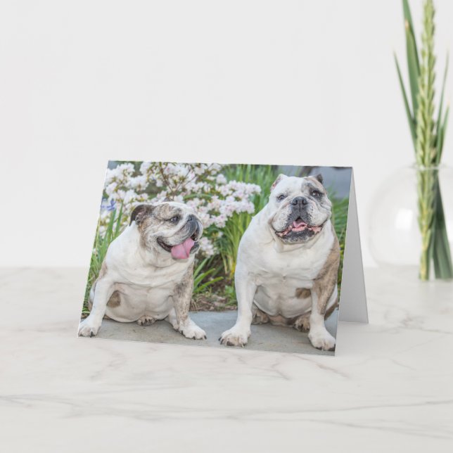 Cute Bulldogs Happy Birthday Personalised Card (Front)