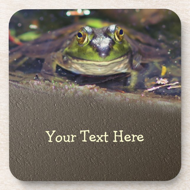 Cute Bullfrog Face Nature Coaster Set (Front)