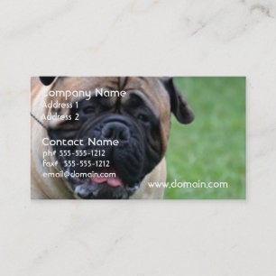Cute Bullmastiff Business Card