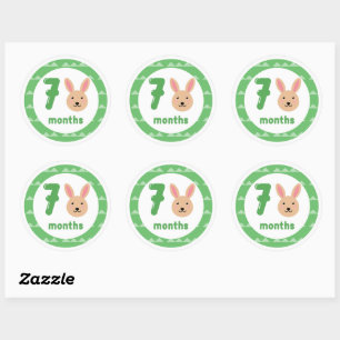 Cute Bunny Baby Monthly Milestone Classic Round Sticker