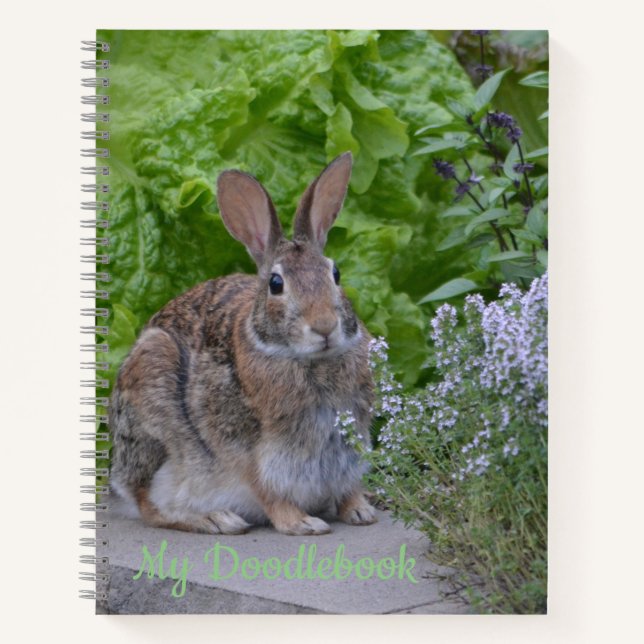 Cute Bunny Doodle Book (Front)