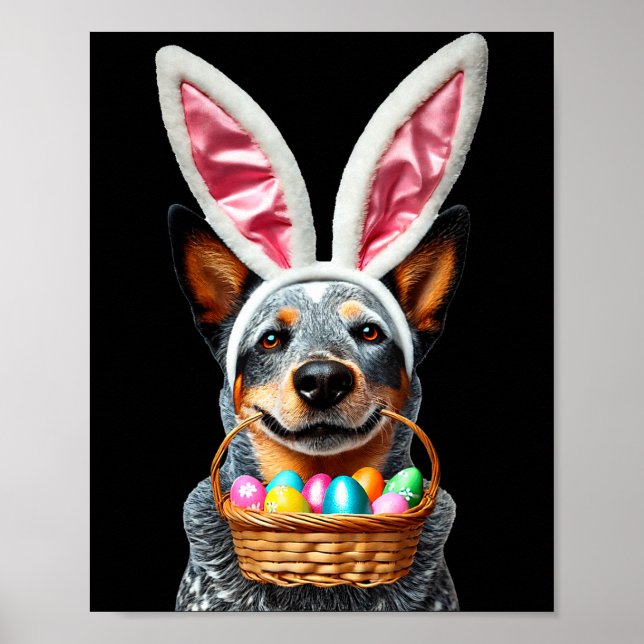 Cute bunny ear australian cattle dog easter eggs poster (Front)